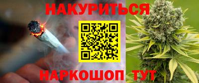 стаф Будённовск