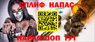 стаф Будённовск