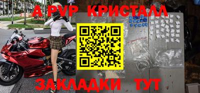 стаф Будённовск
